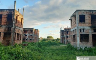 Đồng Nai: Bao giờ xóa được thành phố bỏ hoang Nhơn Trạch