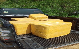 Bị phạt 20 triệu đồng vì kinh doanh nầm lợn đông lạnh nhập lậu