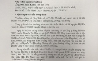 Đà Nẵng: Vì sao vợ chồng cựu Đại tá công an tố con rể trốn thuế?
