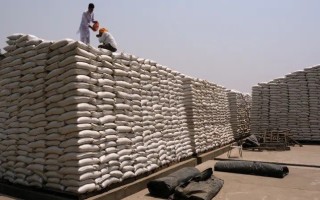 Ấn Độ nối lại xuất khẩu lúa mì sau lệnh cấm