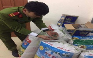 Thu giữ hơn 1 tấn hạt hướng dương tẩm ướp gia vị toàn chữ Trung Quốc